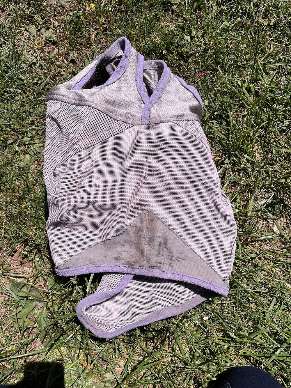 Cashel Standard Earless Horse Fly Mask - Warmblood